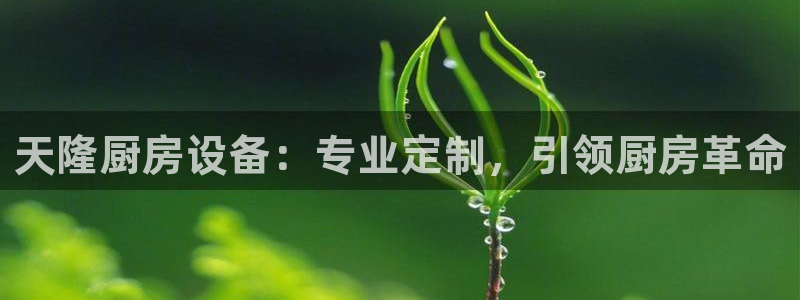 尊龙ag旗舰厅登陆：天隆厨房设备：专业定制，引领厨房革命