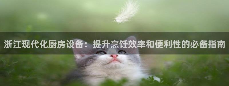尊龙凯时-人生就是博中国官网首页：浙江现代化厨房设备：提升烹