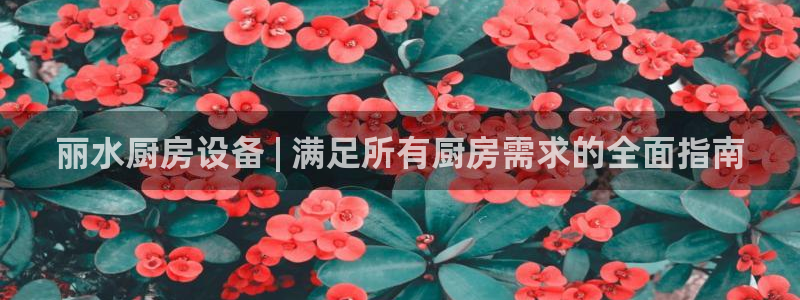 尊龙人生就是博官方官网：丽水厨房设备 | 满足所有厨房需求的