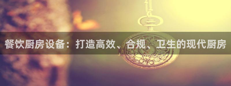 尊龙凯时登陆网址：餐饮厨房设备：打造高效、合规、卫生的现代厨