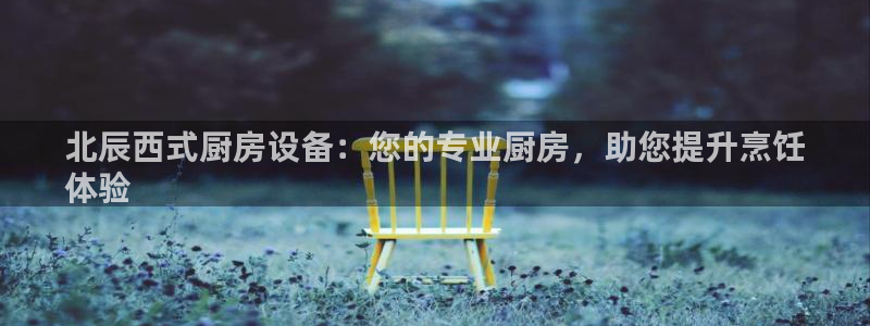 尊龙软件下载：北辰西式厨房设备：您的专业厨房，助您提升烹饪
