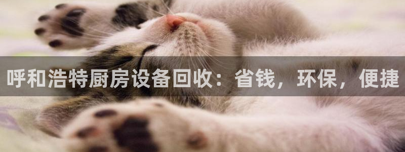 凯时k66娱乐登录：呼和浩特厨房设备回收：省钱，环保，便捷