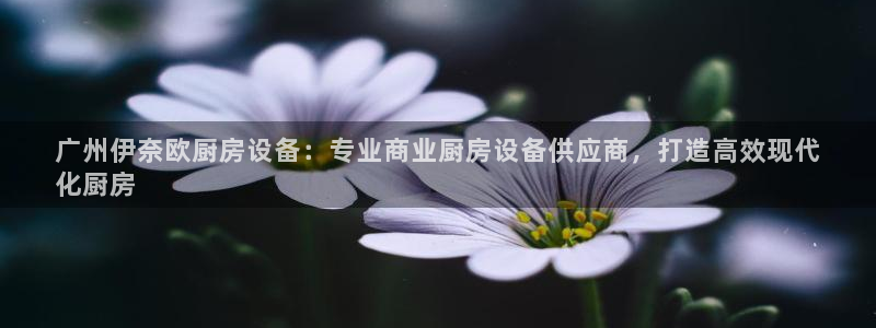 尊龙凯时平台入口：广州伊奈欧厨房设备：专业商业厨房设备供应商