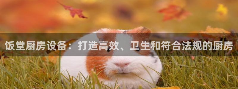 尊龙凯时公司官网：饭堂厨房设备：打造高效、卫生和符合法规的厨
