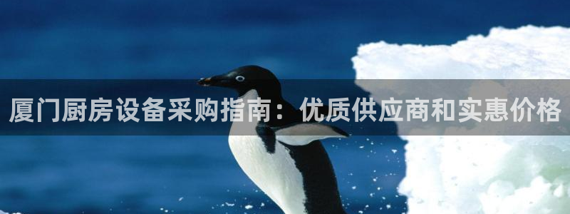 尊龙凯时总部在哪里：厦门厨房设备采购指南：优质供应商和实惠价