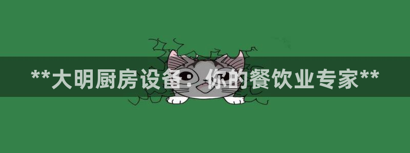 尊龙目前照片：**大明厨房设备：你的餐饮业专家**
