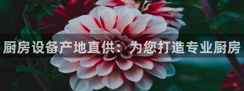 z6尊龙凯时官方：厨房设备产地直供：为您打造专业厨房