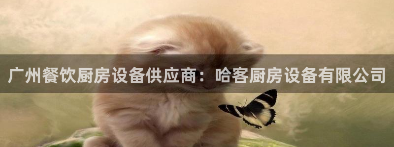 尊龙体育怎么样：广州餐饮厨房设备供应商：哈客厨房设备有限公司