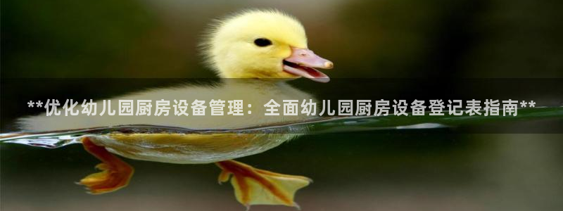 尊龙凯时：**优化幼儿园厨房设备管理：全面幼儿园厨房设备登记
