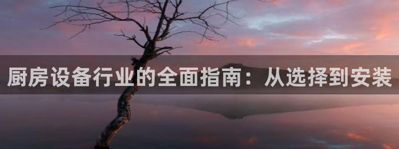 尊龙人生就是博登录网址下载：厨房设备行业的全面指南：从选择到