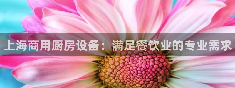 尊龙凯时白家乐：上海商用厨房设备：满足餐饮业的专业需求