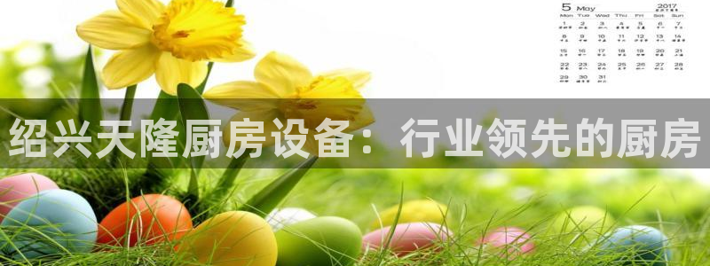 凯时官网app下载官方网站：绍兴天隆厨房设备：行业领先的厨房
