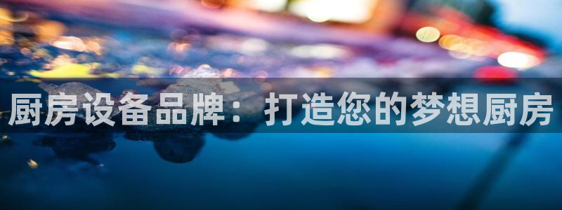 尊龙最近一次露面：厨房设备品牌：打造您的梦想厨房