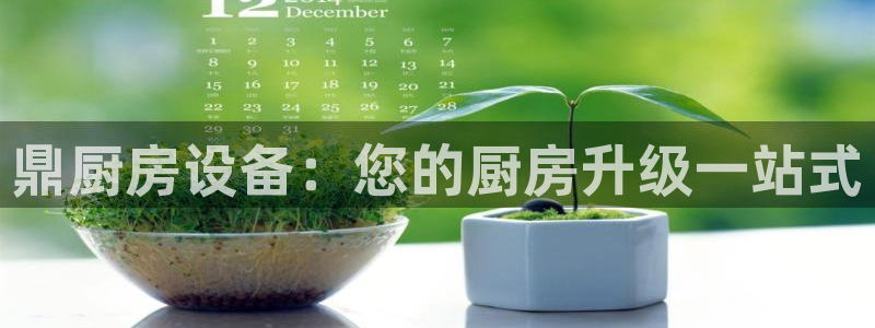 尊龙官网注册：鼎厨房设备：您的厨房升级一站式