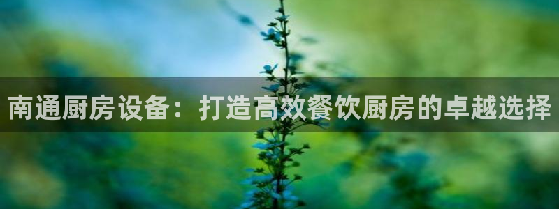 z6尊龙凯时集团：南通厨房设备：打造高效餐饮厨房的卓越选择