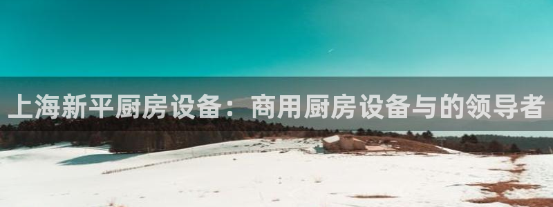 尊龙凯时不朽情缘：上海新平厨房设备：商用厨房设备与的领导者