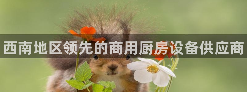 尊龙网平台：西南地区领先的商用厨房设备供应商