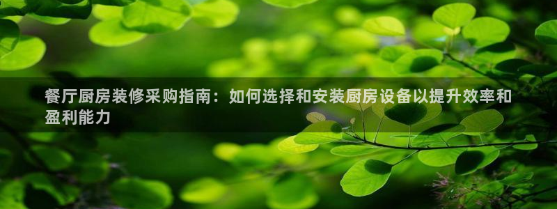 尊龙人生就是博一下下：餐厅厨房装修采购指南：如何选择和安装厨