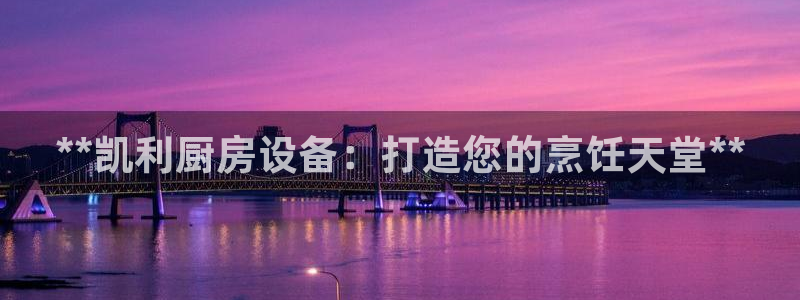尊龙现在：**凯利厨房设备：打造您的烹饪天堂**