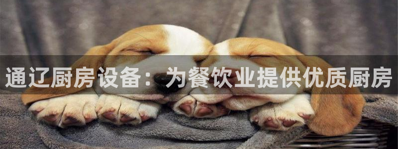 尊龙d88官网确来就送38：通辽厨房设备：为餐饮业提供优质厨
