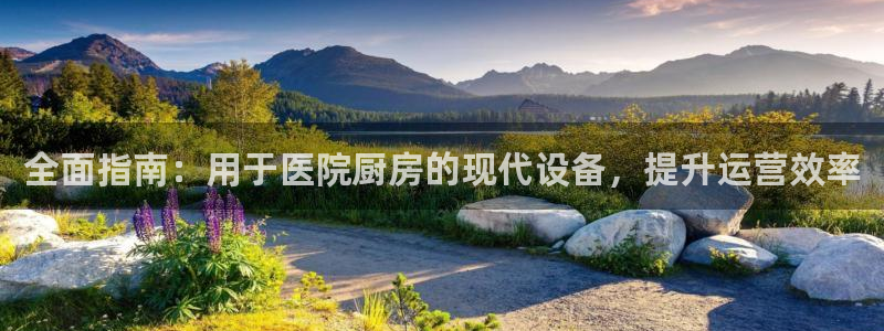 尊龙AG旗舰店：全面指南：用于医院厨房的现代设备，提升运营效