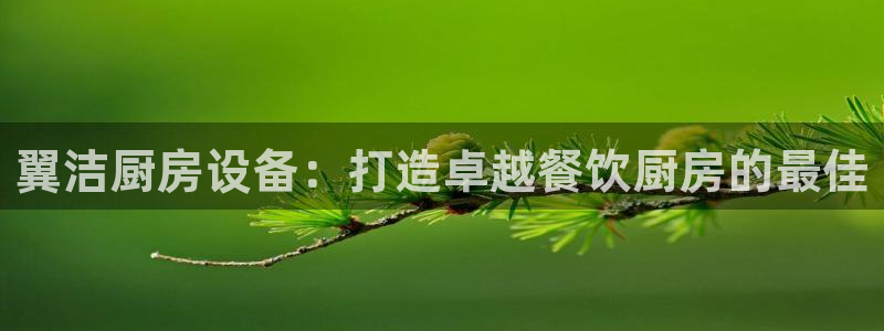 尊龙凯时推荐人：翼洁厨房设备：打造卓越餐饮厨房的最佳