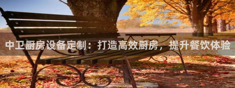 尊龙凯时能做退米么：中卫厨房设备定制：打造高效厨房，提升餐饮