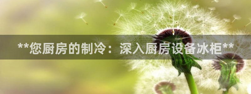 尊龙Ag：**您厨房的制冷：深入厨房设备冰柜**