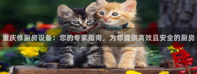 凯时a88：重庆修厨房设备：您的专家指南，为您提供高效且安全