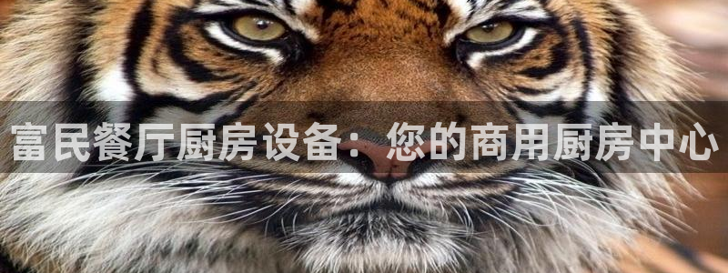 尊龙人生就是博一下下：富民餐厅厨房设备：您的商用厨房中心