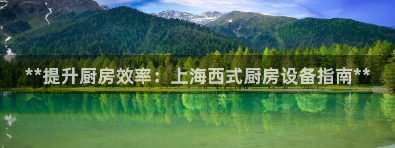 尊龙凯时z6官网：**提升厨房效率：上海西式厨房设备指南**