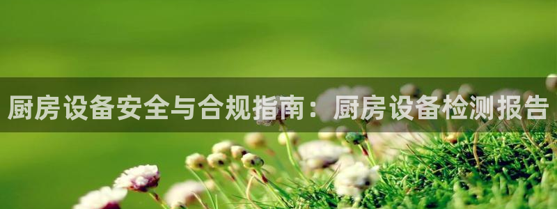 尊龙凯时下载人生就是博：厨房设备安全与合规指南：厨房设备检测