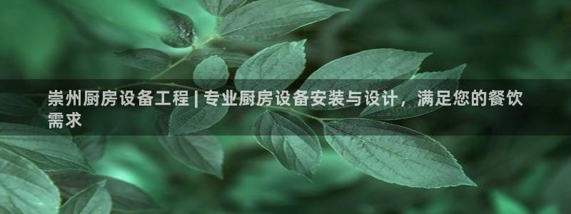 尊龙官方身高：崇州厨房设备工程 | 专业厨房设备安装与设计，