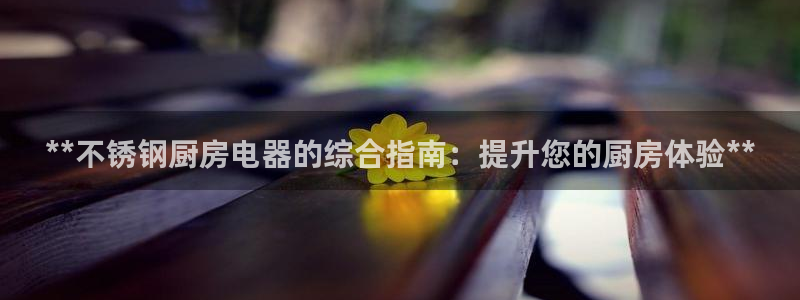 尊龙z6官网：**不锈钢厨房电器的综合指南：提升您的厨房体验