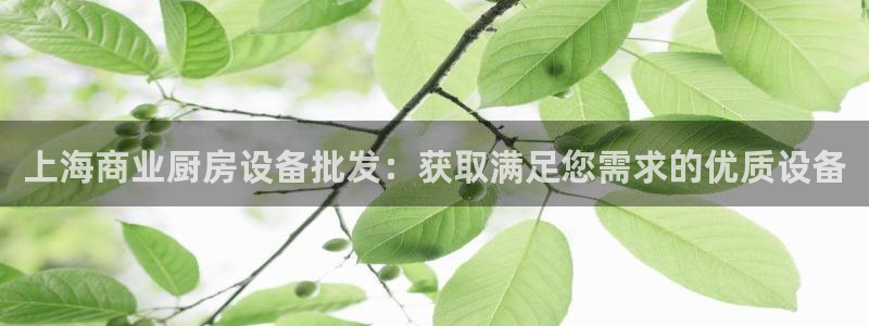 尊龙凯时平台正规吗：上海商业厨房设备批发：获取满足您需求的优