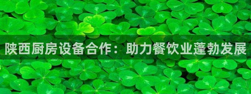 尊龙AG旗舰店：陕西厨房设备合作：助力餐饮业蓬勃发展