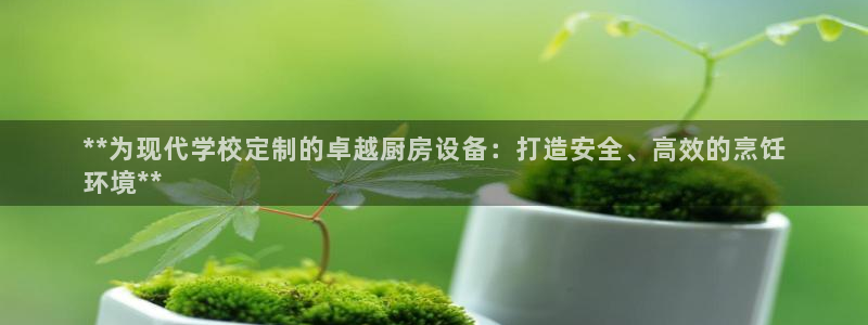尊龙凯时怎么注销账号：**为现代学校定制的卓越厨房设备：打造