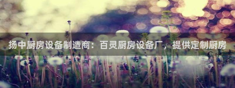 尊龙实业有限公司：扬中厨房设备制造商：百灵厨房设备厂，提供定