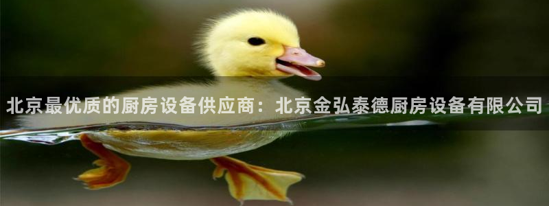 尊龙凯时人生就是博·(中国)官网首页：北京最优质的厨房设备供