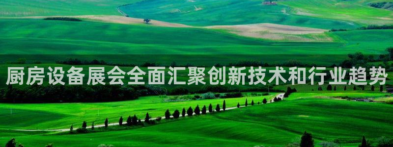 尊龙凯时取款24小时不到账：厨房设备展会全面汇聚创新技术和行