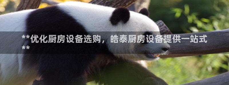 尊龙AG发财网：**优化厨房设备选购，皓泰厨房设备提供一站式