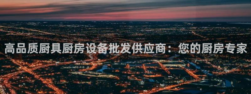 尊龙游戏官方网：高品质厨具厨房设备批发供应商：您的厨房专家