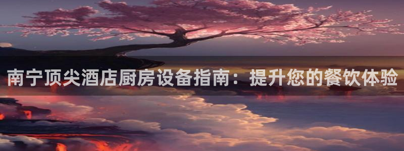 尊龙凯时怎么注销账号：南宁顶尖酒店厨房设备指南：提升您的餐饮
