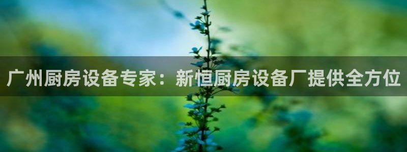 凯时app官方首页：广州厨房设备专家：新恒厨房设备厂提供全方