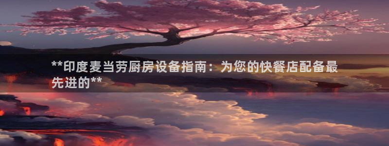 尊龙凯时人生就是搏平台：**印度麦当劳厨房设备指南：为您的快