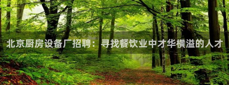 尊龙ag旗舰厅下载：北京厨房设备厂招聘：寻找餐饮业中才华横溢