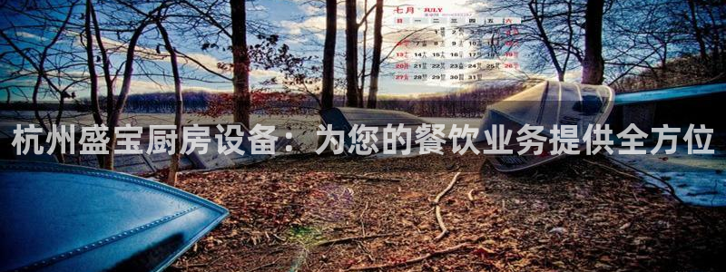 尊龙ag旗舰厅下载：杭州盛宝厨房设备：为您的餐饮业务提供全方