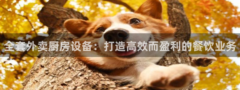 尊龙登录：全套外卖厨房设备：打造高效而盈利的餐饮业务
