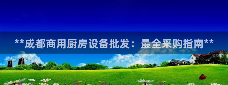 Ag尊龙平台：**成都商用厨房设备批发：最全采购指南**
