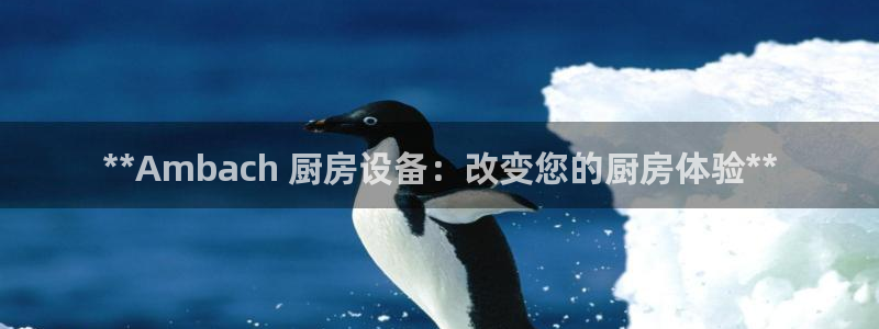 尊龙d88官网可靠送38元：**Ambach 厨房设备：改变